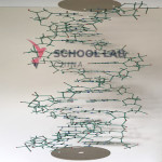 cochranes Orbit DNA-RNA Kit